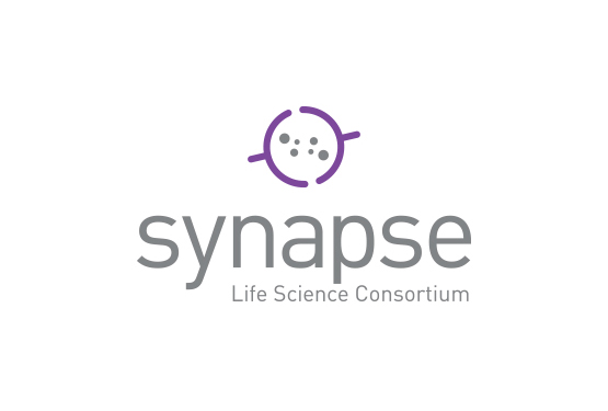 synapse logo