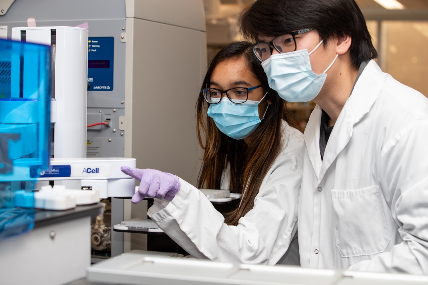 Students working in lab